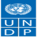 UNDP Parliamentary Development